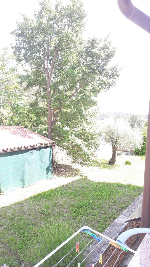 Apartment Radovan Πόρετς Εξωτερικό φωτογραφία