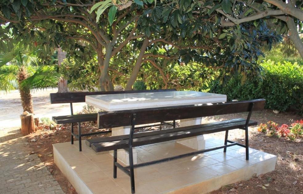Apartment Radovan Πόρετς Εξωτερικό φωτογραφία