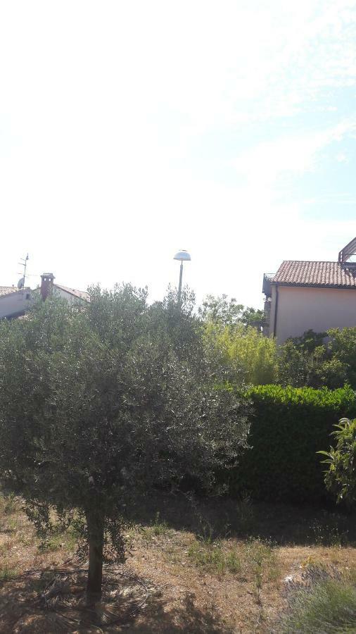 Apartment Radovan Πόρετς Εξωτερικό φωτογραφία